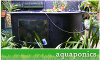 Aquaponics